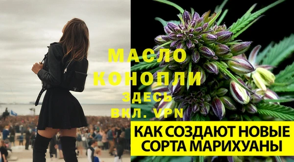 каннабис Алексин