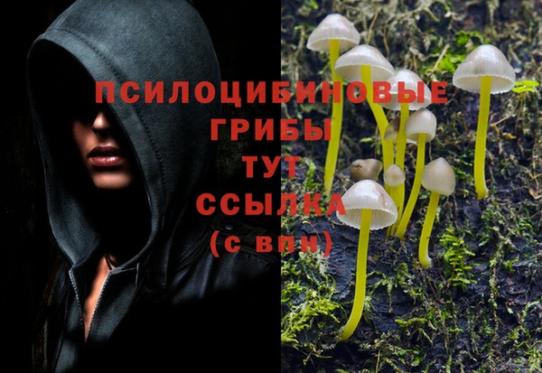ALPHA PVP Алзамай
