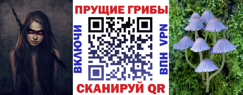 как найти закладки  Кочубеевское  Галлюциногенные грибы Psilocybine cubensis 